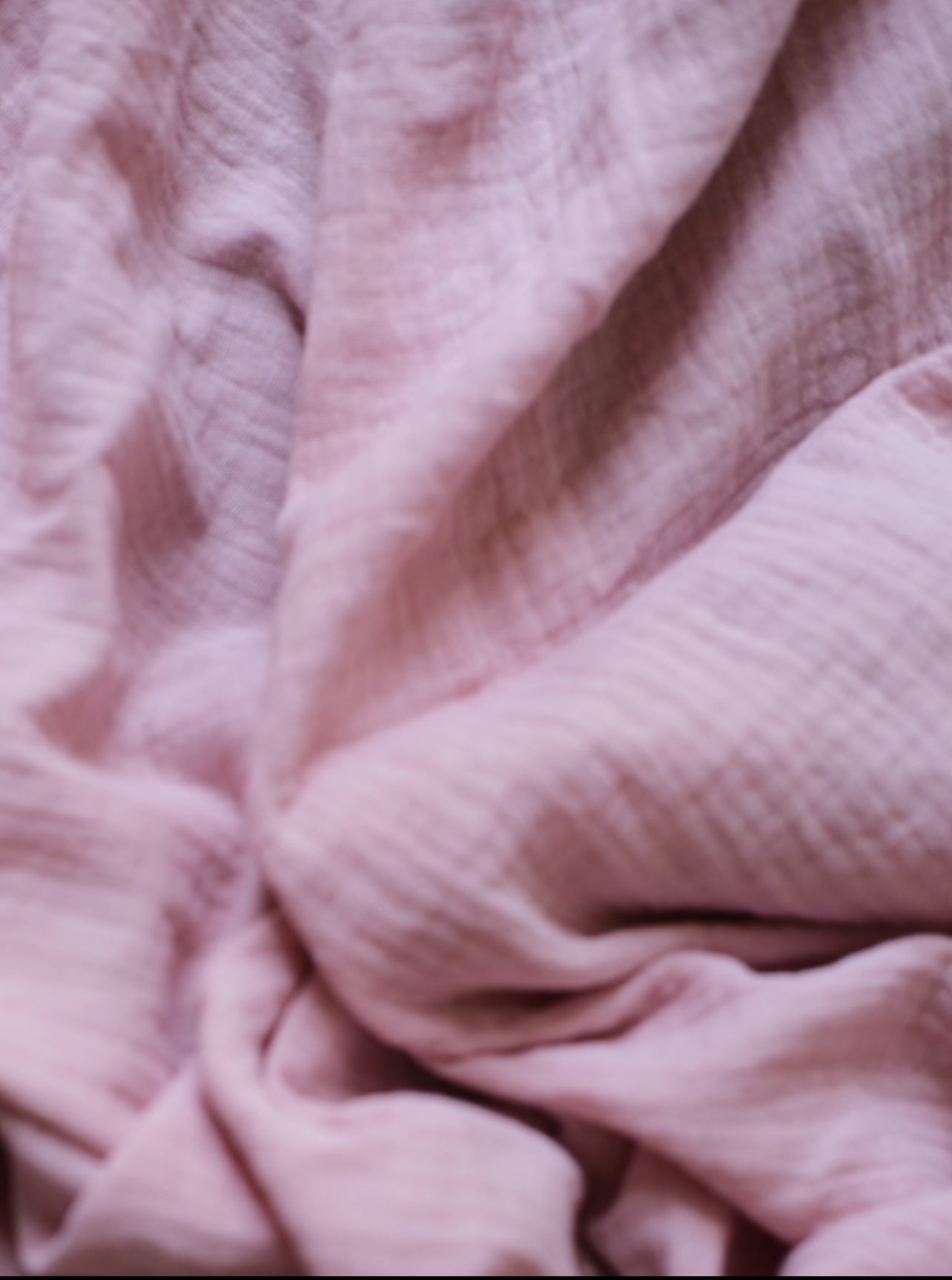 Dusty Rose